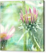 Wildflower Dreamscape Acrylic Print