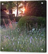 Wildflower Meadow At Sunset, Great Dixter Acrylic Print