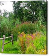 Wildflowers And Fence In Bridgewater Acrylic Print