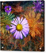 Wildflowers Acrylic Print