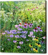 Wildflowers In Moraine Hills State Park Acrylic Print