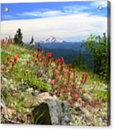 Wildflowers In The Cascades Acrylic Print