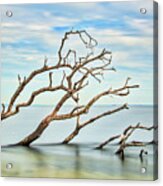 Windswept Branches On Sandy Hook Bay Acrylic Print