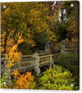 Windy Day At Cooper's Rock Acrylic Print