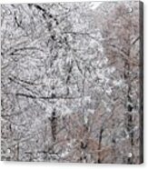 Winter Fantasy Acrylic Print