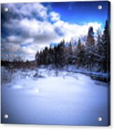 Winter Highlights Acrylic Print