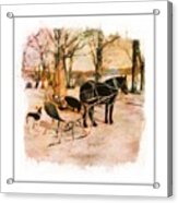 Winter Horse Sled Acrylic Print