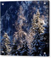 Winter In Bavaria 9 Acrylic Print