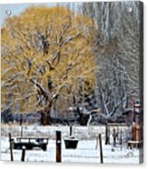 Winter In Taos Acrylic Print