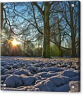 Winter In The Park Acrylic Print