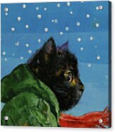 Winter Kitten Acrylic Print