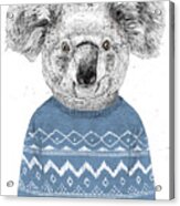 Winter Koala Acrylic Print