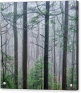 Winter Mist In The Woods Acrylic Print