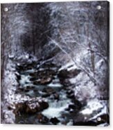 Winter Photography Acrylic Print
