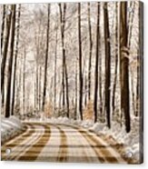 Winter Road Through The Forest Acrylic Print