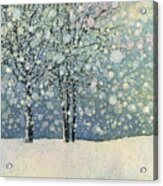 Winter Sonnet Acrylic Print