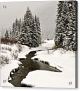 Winter Stream Acrylic Print