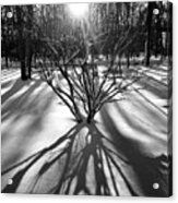 Winter Sunrise Shadows Acrylic Print