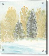 Winter Trees Acrylic Print