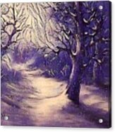 Winter's Beauty Acrylic Print