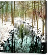 Winter's Chill Acrylic Print