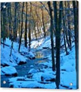Winter's Cold Touch Acrylic Print