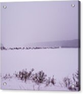 Winter's Desolation Acrylic Print
