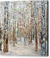 Wintry Woods Acrylic Print