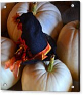 Witch Hat On White Pumpkins Acrylic Print