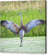 With Open Arms Acrylic Print