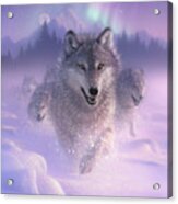 Wolf Pack Running - Northern Lights Acrylic Print