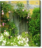 Wooden Door Climbing Roses Secret Garden Acrylic Print