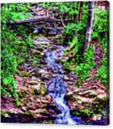 Woodland Stream Acrylic Print