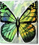 Yellow And Green Watercolor Butterfly Acrylic Print