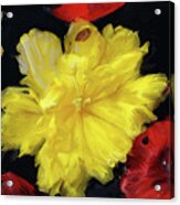 Yellow And Red Flower Painting Acrylic Print