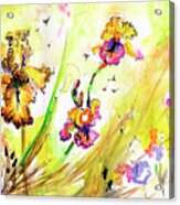 Yellow Bearded Irises And Bees Watercolor Print Acrylic Print