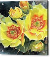 Yellow Cactus Acrylic Print