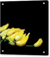 Yellow Chillies On A Black Background Acrylic Print