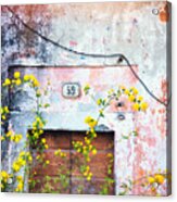 Yellow Flowers And Decayed Wall Acrylic Print