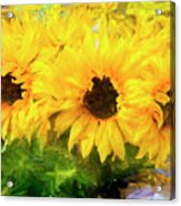 Yellow Flowers Acrylic Print
