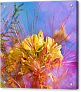 Yellow Flowers Acrylic Print