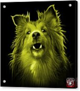 Yellow Sheltie Dog Art 0207 - Bb Acrylic Print