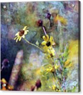 Yellow Wildflowers 3230 Idp_2 Acrylic Print