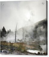 Yellowstone Morning Fog Acrylic Print