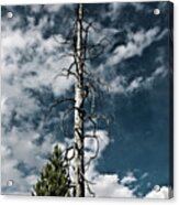 Yellowstone Sky Acrylic Print