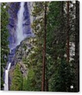 Yosemite Falls C Acrylic Print