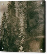 Yosemite Valley Collodion Acrylic Print