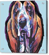 You Are My Basset Hound Heart Acrylic Print
