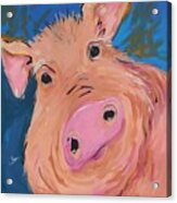 You're Such A Ham Acrylic Print