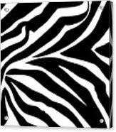 Zebra Design Acrylic Print